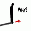 4871998.gif
