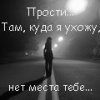 3095649.jpg