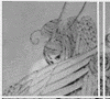 3183827.gif