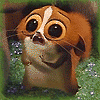 440781_674159_697088.gif