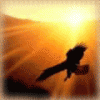 1380382.gif