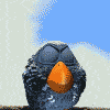 3620407.gif