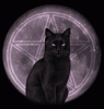 MerlinsMoon_ravensilvermoon.gif