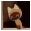 post_17_1098018505.gif