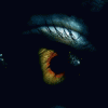 6154_b.gif