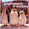 6115_b.gif