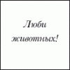 303.gif