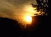 313.gif