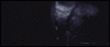 424.gif