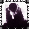 462.gif