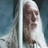 558.gif