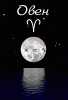 moon05.gif