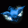 avatar175_60.gif