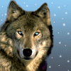 944.gif