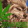 36322744.gif