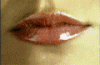 14617.gif