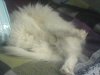 DSC00094.JPG