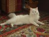DSC00849 (Средний).JPG