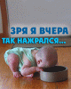 Зря я вчера так нажр.gif