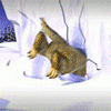 iceage6_20061226_2079877295.gif