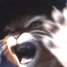 1_141_.gif