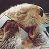 08_sm.gif
