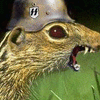 10_sm.gif