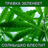 13908_ps.jpg
