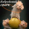 16192.gif