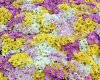 million-flowers-1280.jpg