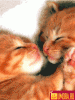 120723627044222.gif