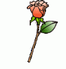 Blume00114.gif