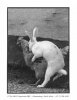 EASTER.JPG