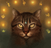 cat0me.gif