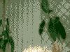 5890606.gif