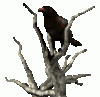 deadtree_crowwatch_md_clr.gif