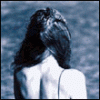 000972.gif