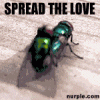 avatar_1326.gif