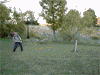 avatar_1652.gif