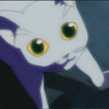 black_cat_1.gif