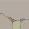 polka_2.gif