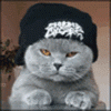 av_1511.gif