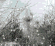 av_7840.gif