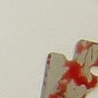 908987_1214761.gif