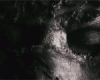 690491_999830.gif