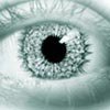 eye_55v9l3.jpg