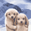 post_9_1116079113.gif
