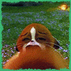 post_9_1119990309.gif