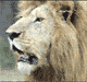 post_26_1130889788.gif
