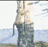 post_26_1131152095.gif